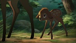 Image Bambi II 