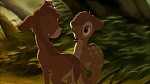 Image Bambi II 