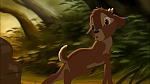 Image Bambi II 