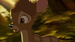Image Bambi II 