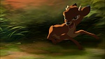 Image Bambi II 