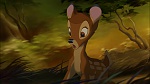 Image Bambi II 