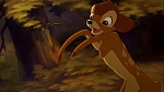 Image Bambi II 