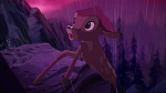 Image Bambi II 