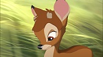 Image Bambi II 
