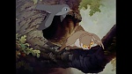 Bambi picture