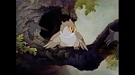 Bambi picture