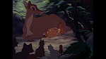 Bambi picture
