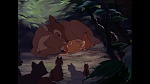 Bambi picture