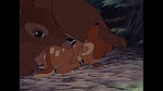 Bambi picture