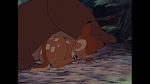 Bambi picture