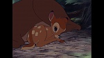 Bambi picture