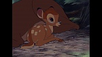 Bambi picture