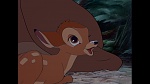 Bambi picture