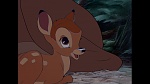 Bambi picture