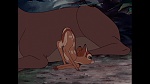 Bambi picture