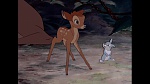 Bambi picture