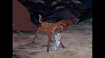 Bambi picture