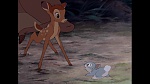 Bambi picture