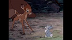 Bambi picture