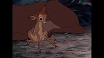 Bambi picture