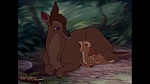 Bambi picture