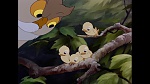 Bambi picture