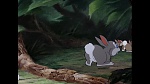 Bambi picture