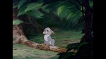 Bambi picture