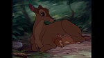 Bambi picture