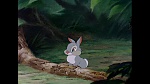 Bambi picture