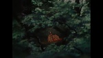 Bambi picture
