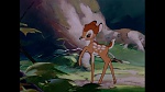 Bambi picture