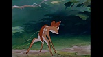 Bambi picture