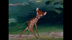 Bambi picture