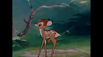 Bambi picture