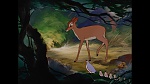 Bambi picture
