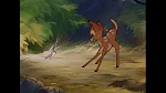 Bambi picture
