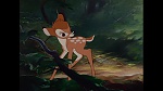 Bambi picture