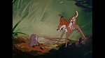Bambi picture