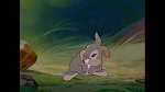 Bambi picture