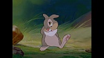 Bambi picture