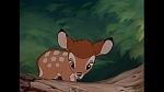 Bambi picture