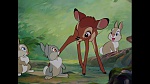 Bambi picture