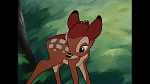Bambi picture