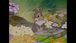 Bambi picture