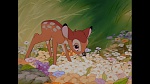 Bambi picture
