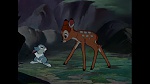 Bambi picture