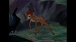 Bambi picture