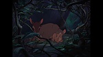Image Bambi